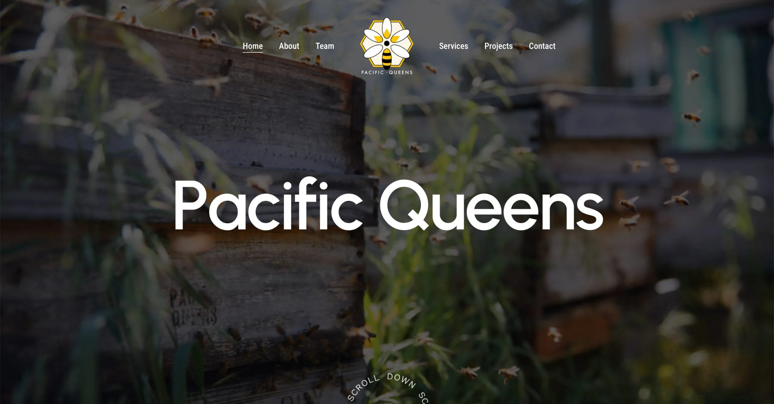 Pacific Queens — imagen 1